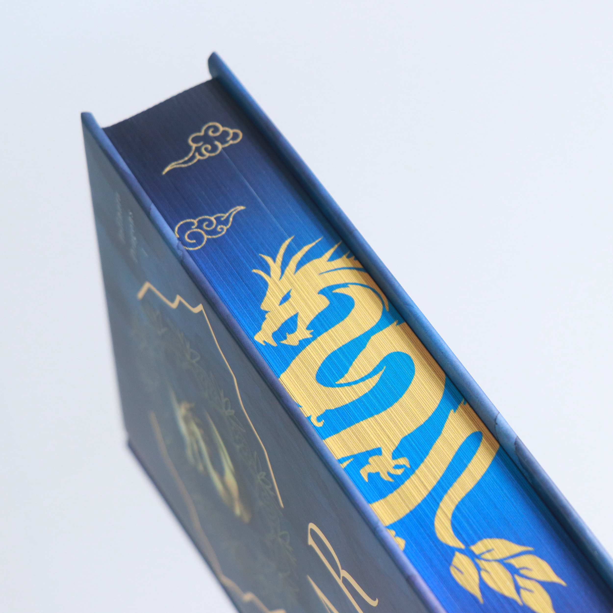 Roar of the Sky by Calla Zae: Special Edition Hardcover