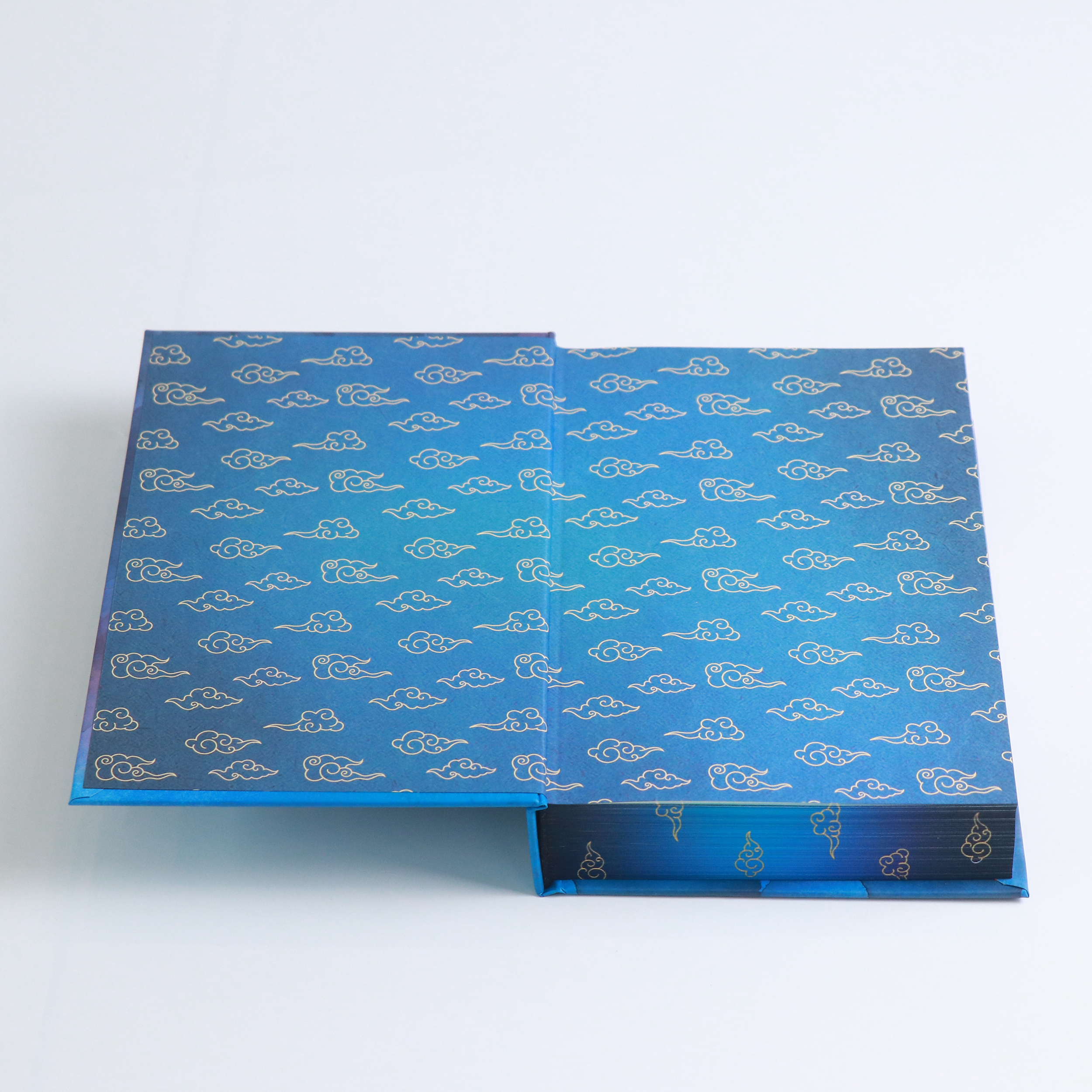 Roar of the Sky by Calla Zae: Special Edition Hardcover