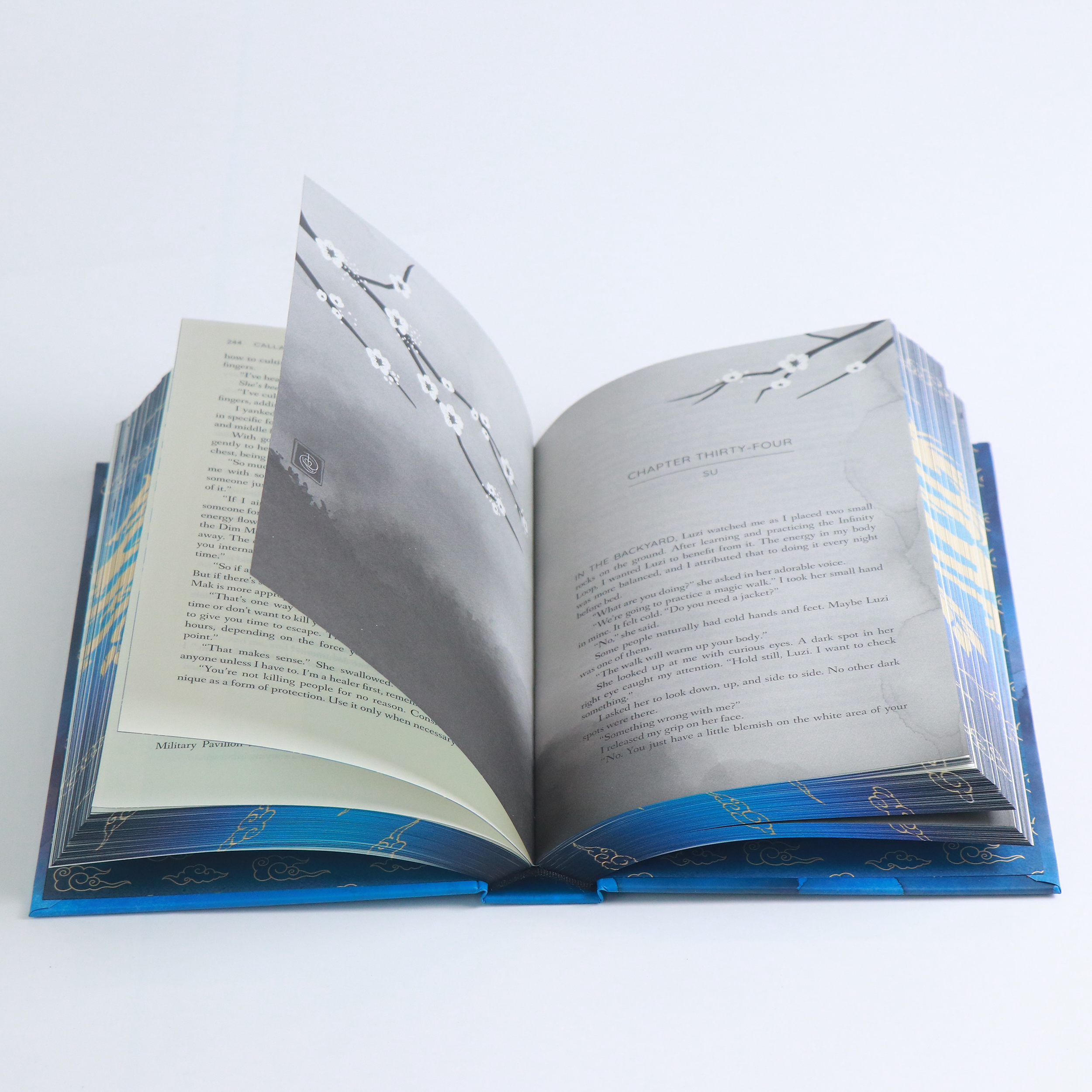 Roar of the Sky by Calla Zae: Special Edition Hardcover